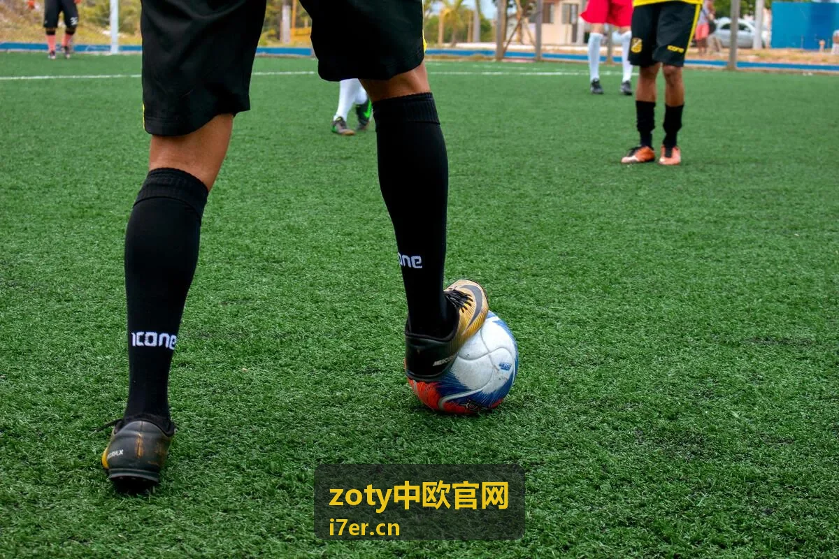 中欧服务指南 交通出行攻略 zoty中欧官网