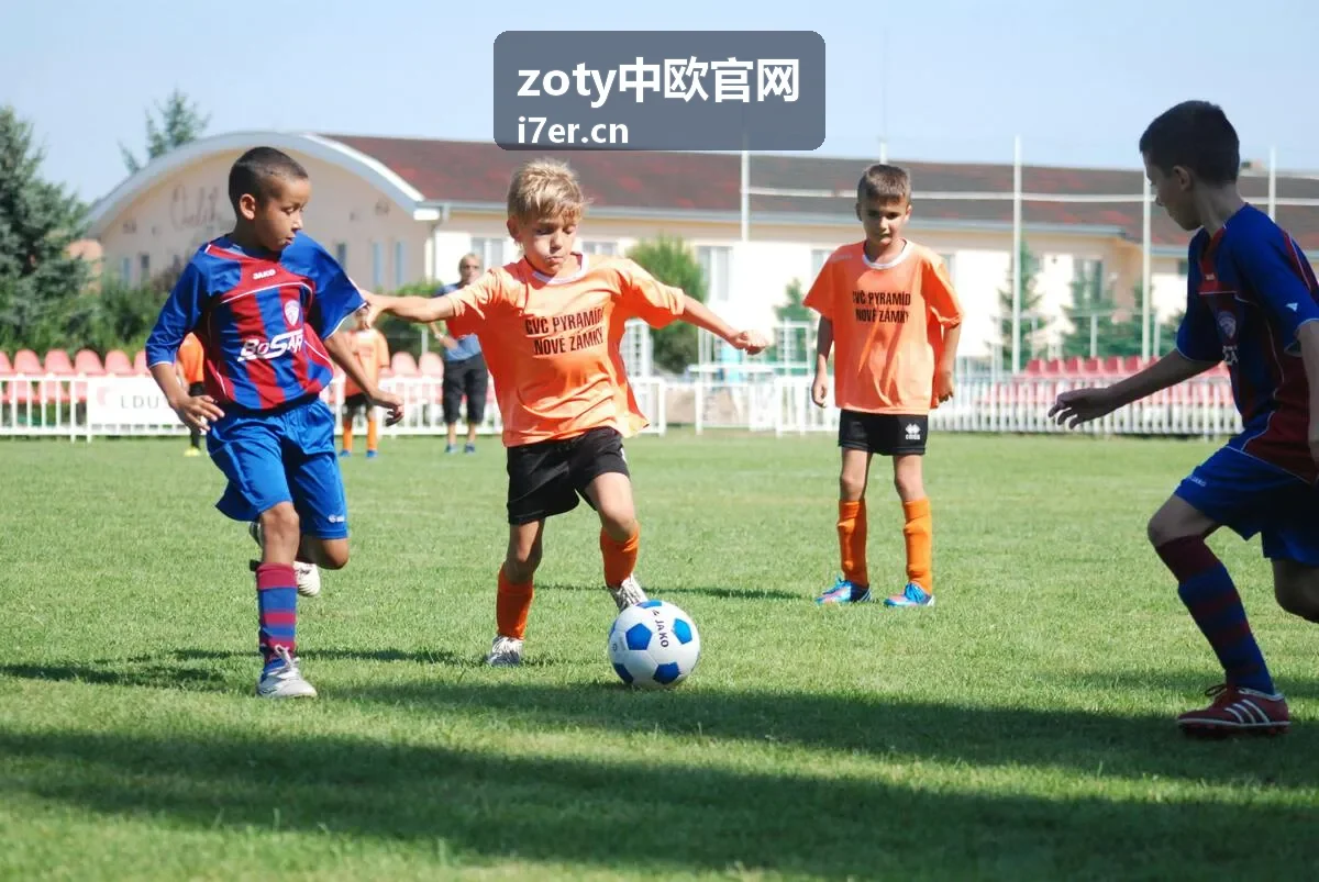 中欧服务指南 本地生活与社区 zoty中欧官网